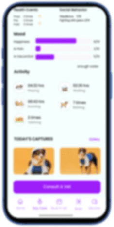 Pet scan screen