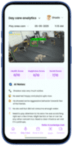 Pet scan screen